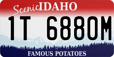 ID license plate 1T6880M