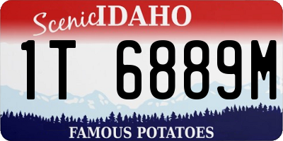 ID license plate 1T6889M