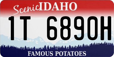 ID license plate 1T6890H