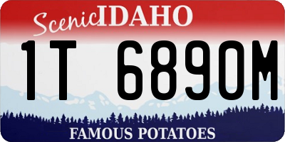 ID license plate 1T6890M
