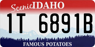 ID license plate 1T6891B