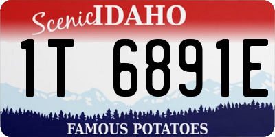 ID license plate 1T6891E