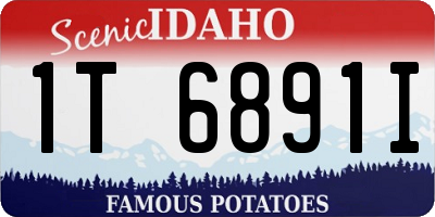 ID license plate 1T6891I