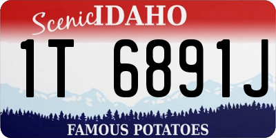 ID license plate 1T6891J
