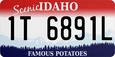 ID license plate 1T6891L