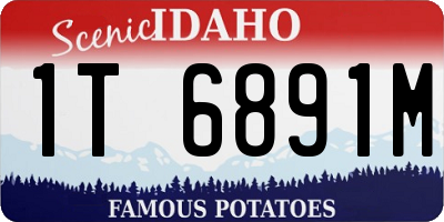 ID license plate 1T6891M