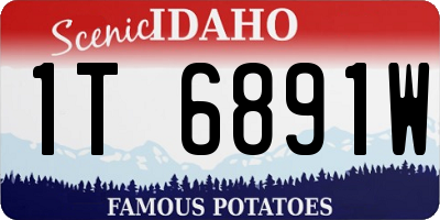 ID license plate 1T6891W
