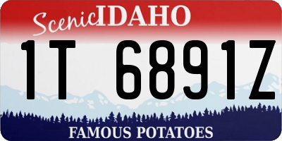 ID license plate 1T6891Z
