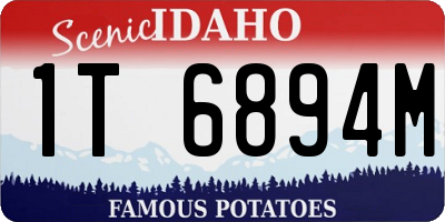 ID license plate 1T6894M