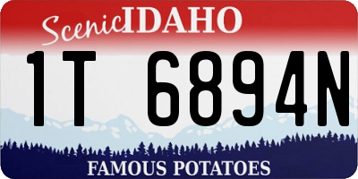 ID license plate 1T6894N
