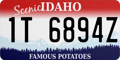 ID license plate 1T6894Z
