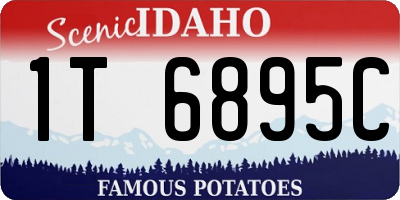 ID license plate 1T6895C