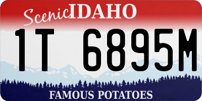 ID license plate 1T6895M