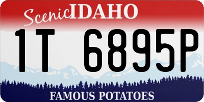 ID license plate 1T6895P