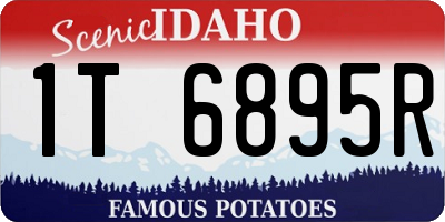 ID license plate 1T6895R