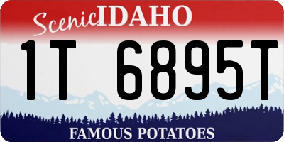 ID license plate 1T6895T