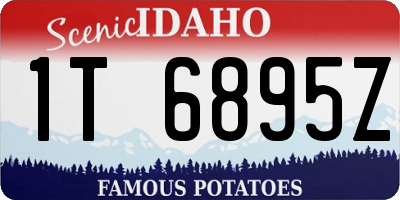 ID license plate 1T6895Z