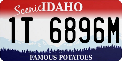 ID license plate 1T6896M