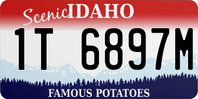 ID license plate 1T6897M