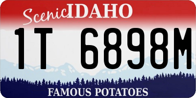 ID license plate 1T6898M