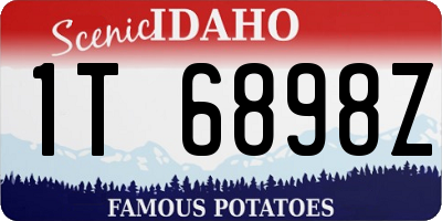 ID license plate 1T6898Z