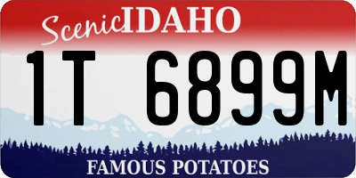 ID license plate 1T6899M