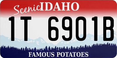 ID license plate 1T6901B