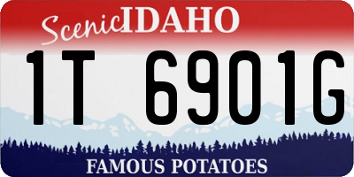 ID license plate 1T6901G