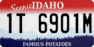 ID license plate 1T6901M