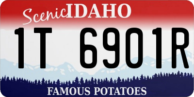 ID license plate 1T6901R