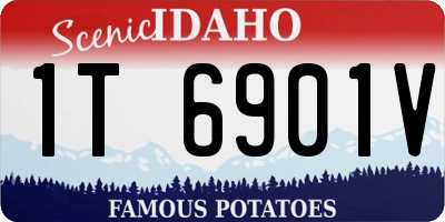 ID license plate 1T6901V