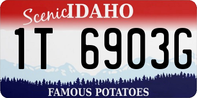 ID license plate 1T6903G