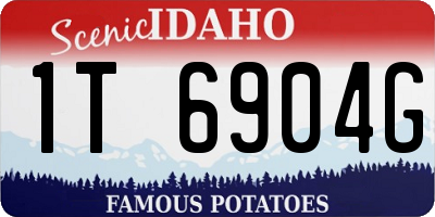 ID license plate 1T6904G