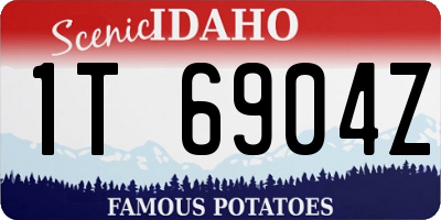 ID license plate 1T6904Z