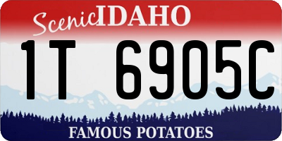 ID license plate 1T6905C
