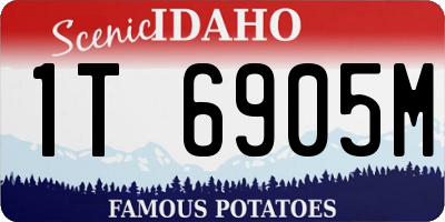 ID license plate 1T6905M