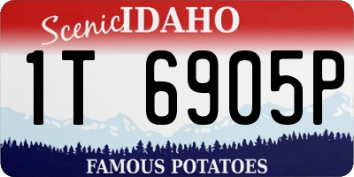 ID license plate 1T6905P