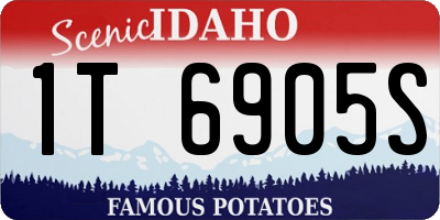 ID license plate 1T6905S