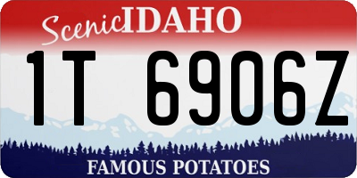 ID license plate 1T6906Z