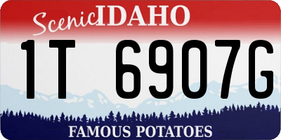 ID license plate 1T6907G