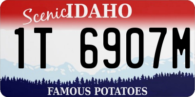 ID license plate 1T6907M