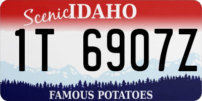 ID license plate 1T6907Z