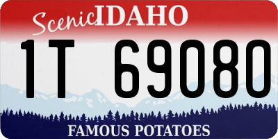 ID license plate 1T6908O