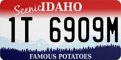 ID license plate 1T6909M