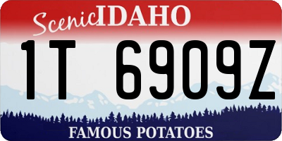 ID license plate 1T6909Z