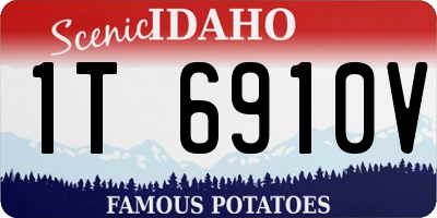 ID license plate 1T6910V