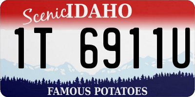 ID license plate 1T6911U