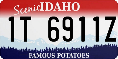 ID license plate 1T6911Z