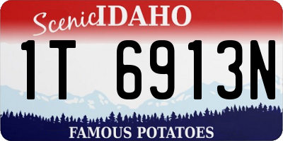 ID license plate 1T6913N
