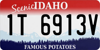 ID license plate 1T6913V